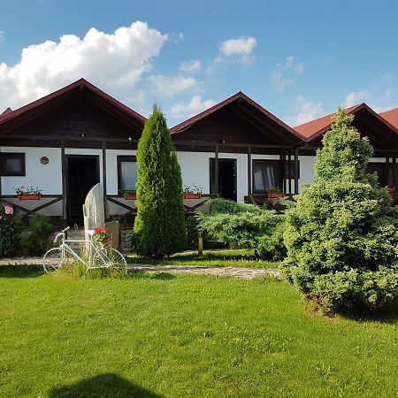 Pensiunea Valea Argesului Albestii Paminteni Exterior photo