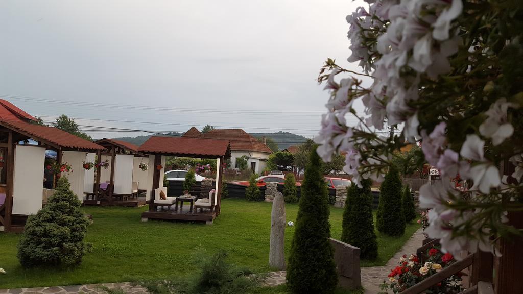 Pensiunea Valea Argesului Albestii Paminteni Exterior photo