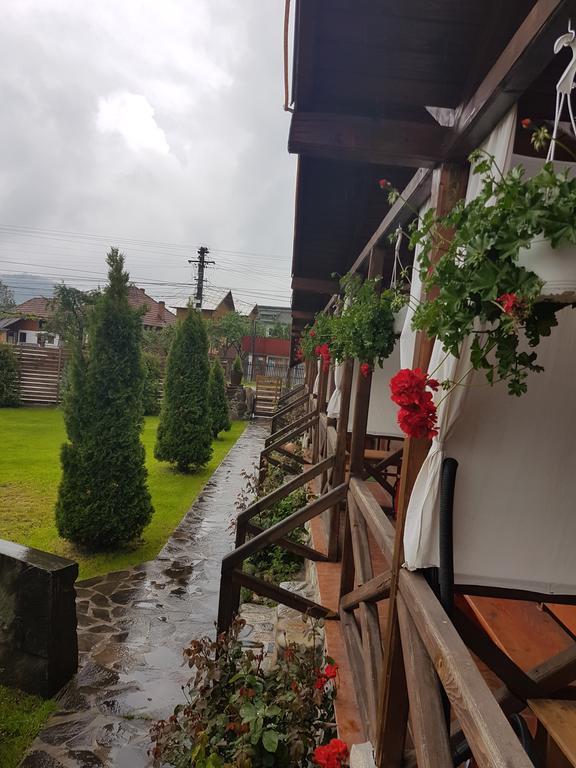 Pensiunea Valea Argesului Albestii Paminteni Exterior photo