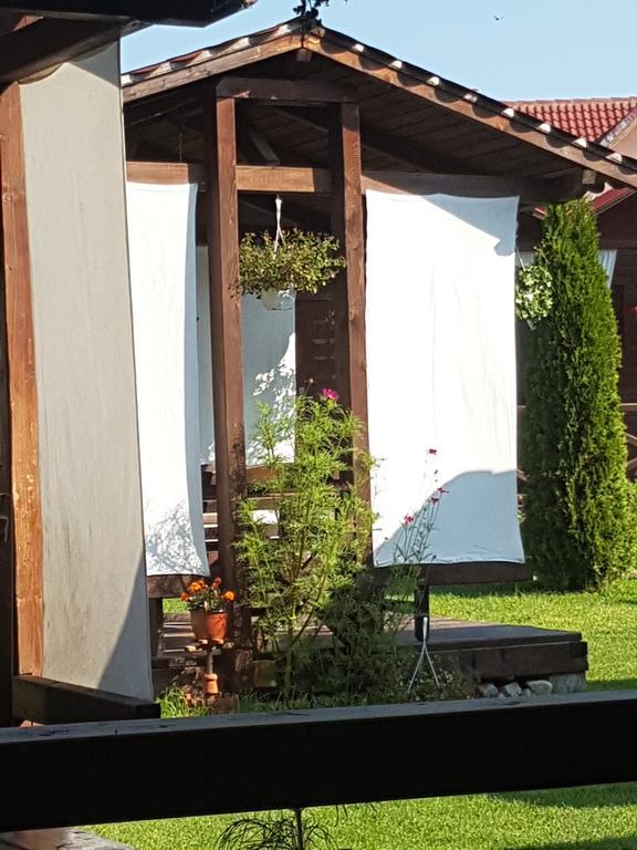 Pensiunea Valea Argesului Albestii Paminteni Exterior photo