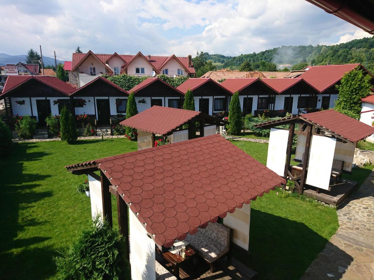 Pensiunea Valea Argesului Albestii Paminteni Exterior photo