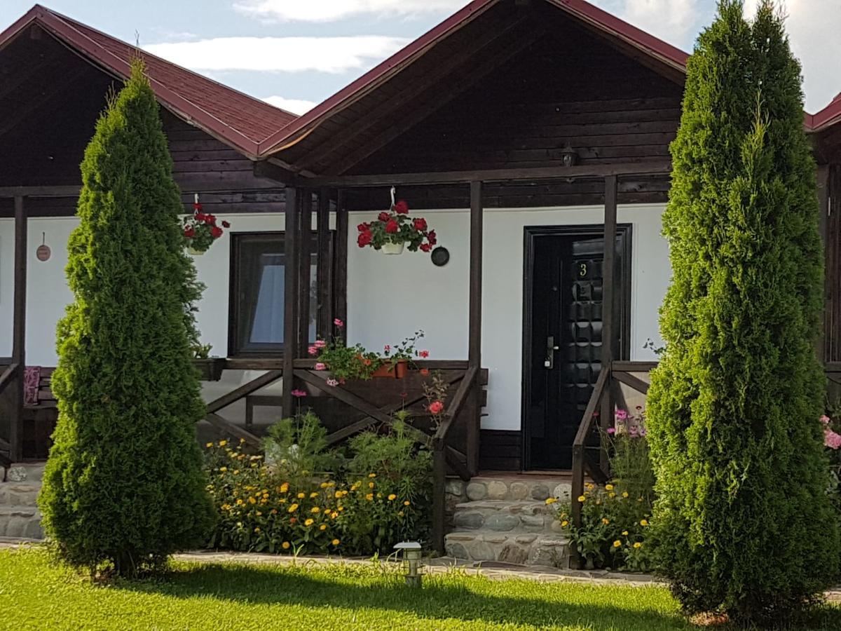 Pensiunea Valea Argesului Albestii Paminteni Exterior photo